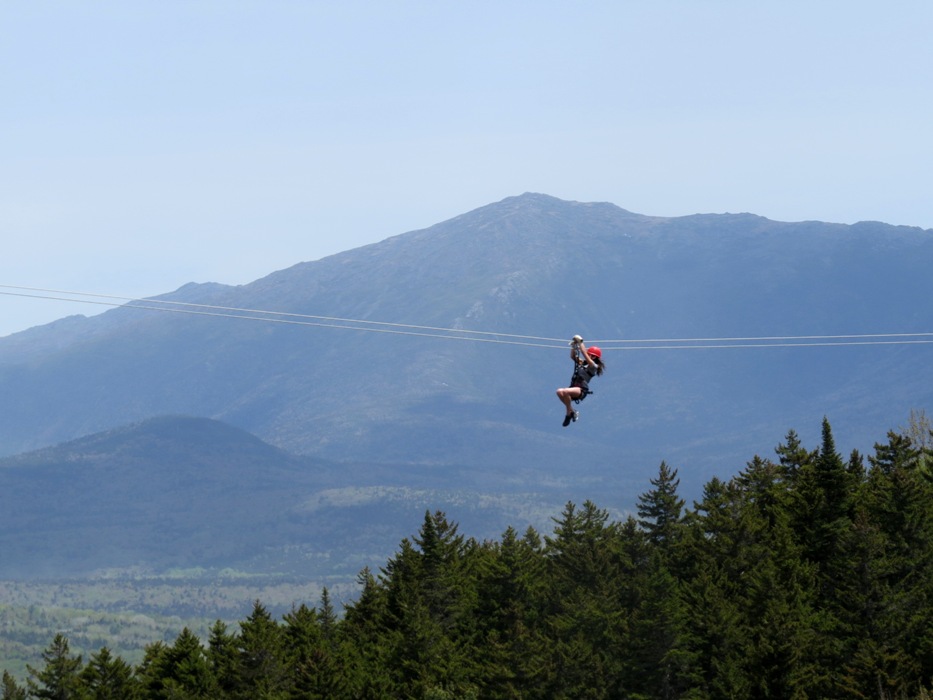 Taking in the beauty of the White Mountains from high in the canopy. 